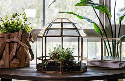 Urban Born Handmade Birdcage Large Glass Terrarium — 10" x 9" x 9" (Brass)