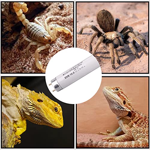 Aiicioo T8 UVB Reptile Light - 10.0 Reptile Fluorescent Light Bearded Dragon Desert UVB Bulb 24 inch 18 watt for Reptile Turtles Chameleon Tortoises Lizard - style: T8 Tube-18W 10.0