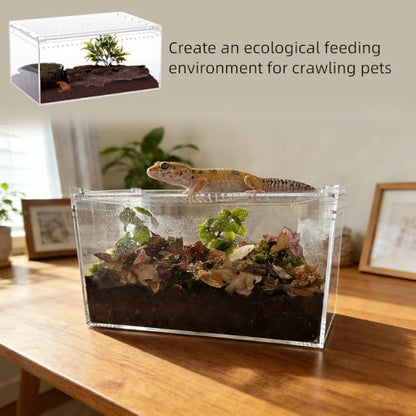 Acrylic Reptile Enclosure, No Assembly Small Reptile Breeding Box for Insect Tarantula Hermit Crab Jumping Spider (12x8x6 in) - size: 12x 8x 6 inch