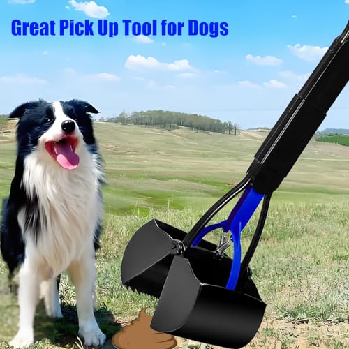 ienjoyed 2-Pack Pooper Scooper for Large Small Dogs Heavy Duty, 28" Long Handle Poop Scoop for Yard, Grass, Gravel, Dog Poop Grabber with High Strength Material and Durable Spring - color: 2-Piece(Green& Blue)