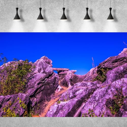 Reptile Habitat Background Blue Sky Rock Mountain Gobi Terrarium Background Eroded Stone Mountains Jungle Plants Aquarium Background Desert Blue Sky Mountain Fish Tank Background Vinyl 30x12in - color: Rock Blue, size: 30(W)x12(H)in