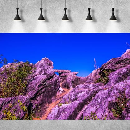 Reptile Habitat Background Blue Sky Rock Mountain Gobi Terrarium Background Eroded Stone Mountains Jungle Plants Aquarium Background Desert Blue Sky Mountain Fish Tank Background Vinyl 30x12in - color: Rock Blue, size: 30(W)x12(H)in