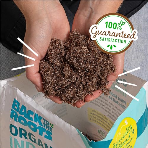 Back to the Roots 100% Organic Indoor Potting Mix (6 Quart), Promotes Healthy Houseplant Growth, Made in The USA - size: 6 Quart, style: Indoor Soil