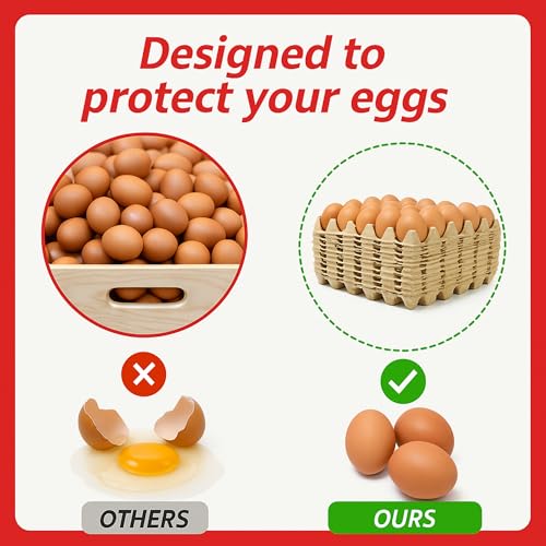 Economy Egg Cartons Bulk - 30 Cell Pulp Fiber Egg Flats for Chickens & Ducks - Reusable Stackable Cardboard Tray for Home Storing & Packing (65)