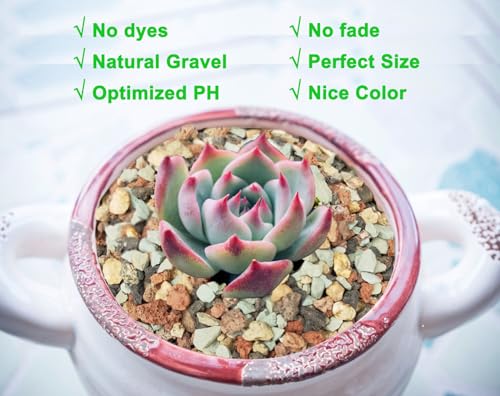 2lb Bonsai Succulent and Cactus Soil Boniosz Gritty Mix Rocks Faster Draining Optimized PH No Root Rot - color: Mix Colors, size: 2lb