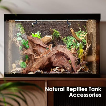 Jorewood Natural Small Aquarium Driftwood for Fish Tanks & Reptile Terrariums – 100% Safe Fish Tank Decorations, Unique Twisted Branches 5-Piece 4-8 Inch Low Tannin, Easy to Sink - size: Mopani Driftwood 4 to 8 Inch (Pack of 5)