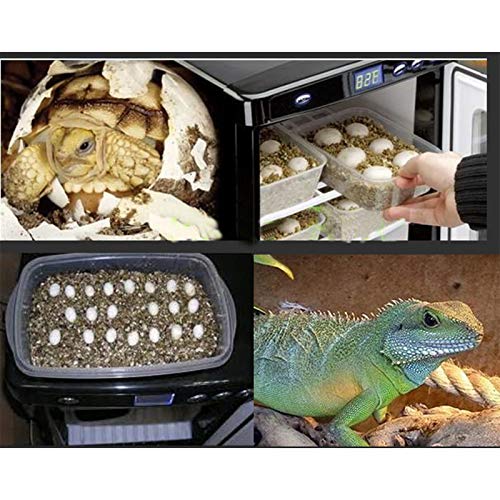 Black Reptile Egg Incubator 25L Capacity Mini Digital Incubator ReptiPro 6000 Portable Reptile Incubator Cabinet Style with Heating and Cooling 5-60°C 12V/110V Work for Small Reptiles