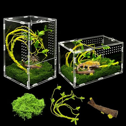 Jumping Spiders Enclosure Kit Acrylic Reptile Tarantula Enclosure Praying Mantis Habitat, Arboreal Tarantula Cribs Spider House,Critter keeper,Snail Cage,Butterfly Cage,frog terrarium(5.9"x5.9"x9.84") - size: M(5.9"x5.9"x9.84")