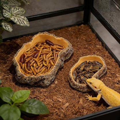 Reptile Food Dish, Terrarium Water Bowl, Feeding Bowl for Reptile Amphibian Pets - size: X-Small