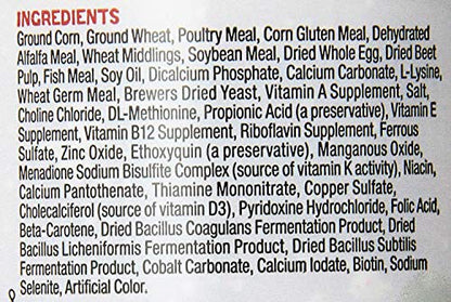Zilla Bearded Dragon Extruded Food Pellets 6.5 Ounces (Pack of 2) - size: 6.5 Ounce (Pack of 2)