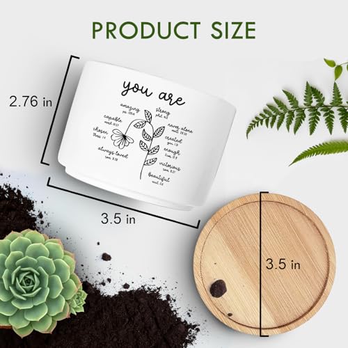 Christian Religious Gifts for Women, Succulent Plant Pot, Cactus Flower Planter Gifts, Inspirational Motivational Gifts for Women Friend, Plant Pots for Office Desk Table Shelf (No Plants) - color: Pots-you Are Amazing