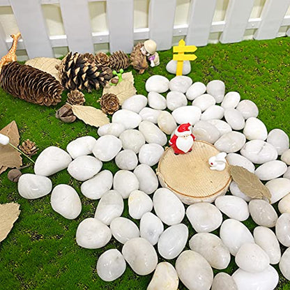 FANTIAN 10 lbs White Pebbles for Indoor Plants, 0.8-1.2 Inch Small White River Rocks Stones for Planters, Vases, Fish Tank, Garden, Landscaping, Top Dressing and Bottem Drainage - size: 0.8-1.2 Inch, style: 10 Pounds