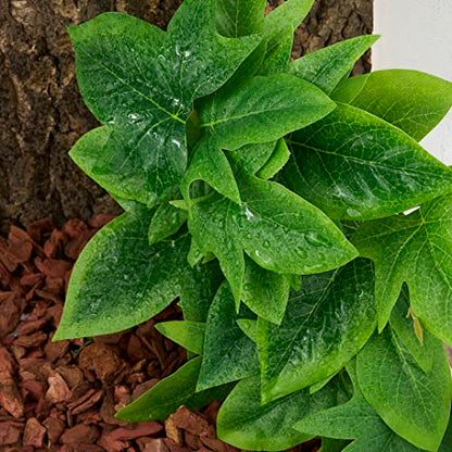 Fake Sweet Potato Vine, Reptile Climbing Hanging Suction Plants | For Crested Gecko Lizard Snake Terrarium Habitat - color: Fake Sweet Potato Vine