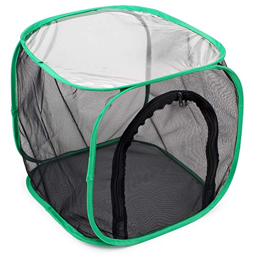 RESTCLOUD Insect and Butterfly Habitat Cage Terrarium Pop-up 12 X 12 X 12 Inches - color: Black With Green, size: 12 x 12 x 12 inches