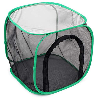 RESTCLOUD Insect and Butterfly Habitat Cage Terrarium Pop-up 12 X 12 X 12 Inches - color: Black With Green, size: 12 x 12 x 12 inches