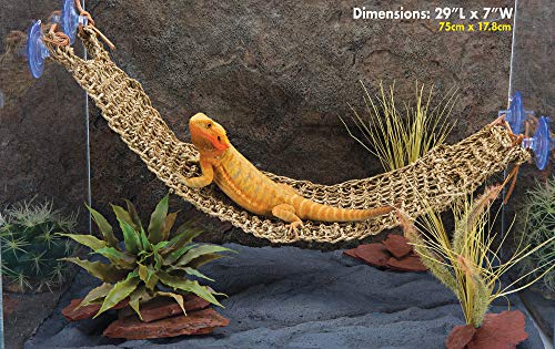 PENN-PLAX Reptology Lizard Lounger – 100% Natural Seagrass Fiber – Great for Bearded Dragons, Anoles, Geckos, and Other Reptiles – Extra Large - size: X-Large (Pack of 1)