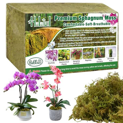 Halatool 3.3 LB Natural Green Forest Moss, Long Fiber Dried Sphagnum Moss | No Dyes, Water Retention & Areation, Dried Orchid Moss for Potted Plants Indoor & Outdoor, Orchids Repotting, Terrariums - size: 3.3 lb