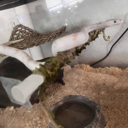 Snake Climbing Stick Adjustable Climber for Small Reptiles and Amphibians with U-Shaped Stickers