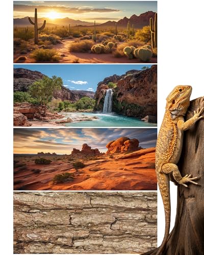 4 Pcs 48 x 18'' Reptile Tank Background 40/55/75 Gallon Bearded Dragon Terrarium Background Decor Polyester Reptile Tank Accessories for Leopard Gecko, Crested Gecko, Tortoises - size: 48 x 18 Inch