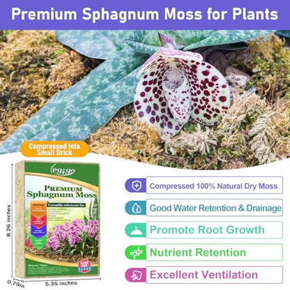 5.3oz Sphagnum Moss for Plants, 6QT Orchid Moss Potting Mix | Long Fiber Sphagnum Moss Dried for Plants Indoor, Orchid Repotting, Succulent, Carnivorous Plants, Terrarium and Reptiles - size: 5.3oz
