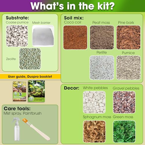 All-in-One DIY Terrarium Starter Kit for Air Plant & Succulent | Includes Potting Soil, Pumice, Zeolite, Green Moss, Sphagnum Moss, Decorative Stone, Mesh, Tools & Guide - size: Terrarium Kit