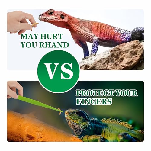 4-Pack Reptile Feeding Tongs Set - Hygienic Anti-Slip Green Tweezers for Bearded Dragons, Lizards, Snakes, Aquariums & Small Animals(Five Colors to Choose from) - color: Green