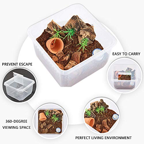 Critter Keeper，Mini Insect Carrier, Portable, Ventilated, Enough Viewing Space, with 5 Accessories, Suitable for Spiders, Geckos, Cockroaches, Snails, Hermit Crabs（Flowerpot）