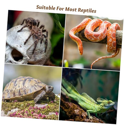 Baluue Reptile Feeding Tank Buckle 6 Pack Breeding Box Latch for Turtle Terrarium Reptile Tank Clips Lid Clamps for Easy Install Anti-Escape Lock for Amphibious 1.96 X 1.18 X 0.98 in