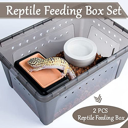 Hamiledyi 2PCS Reptile Feeding Box Snake Breeding Box Transparent Animal Habitat Cage Portable Plastic Turtle Transport Container for Bearded Dragon Lizard Spider Frog Scorpion Gecko 12.6 x 8.6 x 5.9