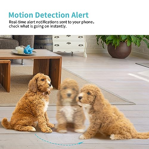Pet Camera, 2K HD Dog Camera with Phone APP, 360° Pan/Tilt View Puppy Cam, One Click Call for Baby Monitor, MagivPix Night Vision,Motion Tracking Alarm with Cloud/Local SD,Home Indoor Security Cam - style: 1 Pack