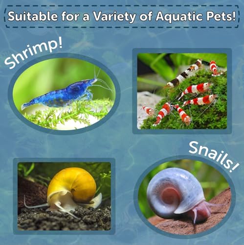 Calcium Blocks Included in Snail & Shrimp, 4mm-3/16 Sinking 40% Protein Nuggets with for Snails, Shrimp, Crabs, All Bottom Tropical Fish…10oz Jar - size: 10 Ounce (Pack of 1)
