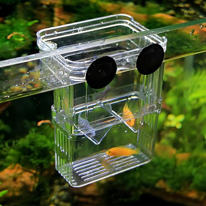 Petzilla in-Tank Aquarium Breeder Box for Fish Tank, Breeding Incubator for Small Fish Hatchery, Acrylic Divider for Shrimp Clownfish Aggressive Injured Fish (Large) - size: Large