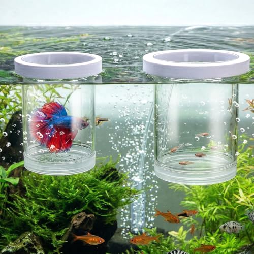 2 Pieces Breeder Box for Fish Tank, Floating Plastic | Aquarium Isolation Box, Mesh Fish Nursery Separator Tank Hatchery Incubator for Shrimp, Betta, Clownfish, Guppy, 2-Piece Set