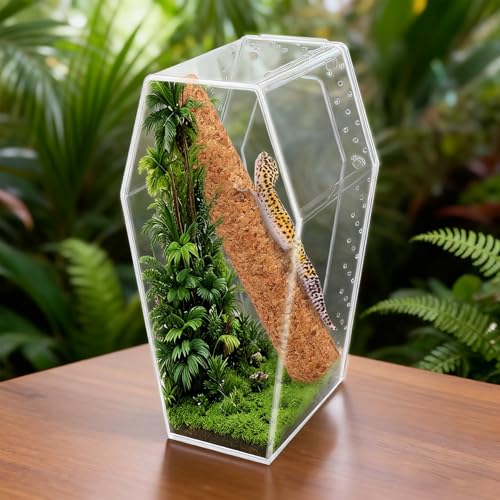 Jumping Spider Enclosure, Magnetic Door Acrylic Terrarium with Feeding Dish & Landscape Stick for Tarantula Snails Insects Reptiles Plants, Coffin Shape Tabletop Decor 4" x 4" x 8"