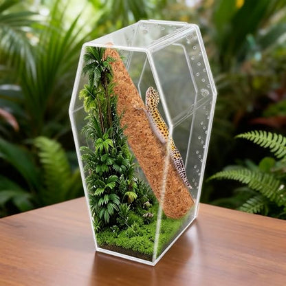 Jumping Spider Enclosure, Magnetic Door Acrylic Terrarium with Feeding Dish & Landscape Stick for Tarantula Snails Insects Reptiles Plants, Coffin Shape Tabletop Decor 4" x 4" x 8"