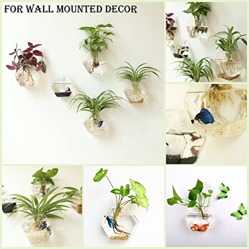 Kingbuy Hexagon Wall Planter Set - 3 Pack Glass Propagation Terrarium Vases with Hanging Mounts for Indoor Plants, Air Plants & Hydroponic Stations Home Office Decor, Plant Lover Gifts (Medium) - size: Medium