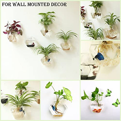 Kingbuy Hexagon Wall Planter Set - 3 Pack Glass Propagation Terrarium Vases with Hanging Mounts for Indoor Plants, Air Plants & Hydroponic Stations Home Office Decor, Plant Lover Gifts (Medium) - size: Medium