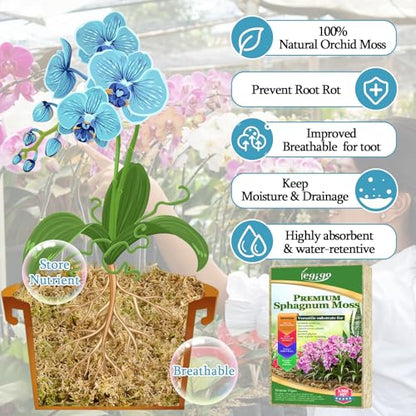 3.5oz Sphagnum Moss for Plants, 4QT Orchid Moss Potting Mix | Long Fiber Sphagnum Moss Dried for Plants Indoor, Orchid Repotting, Succulent, Carnivorous Plants, Terrarium and Reptiles - size: 3.5oz