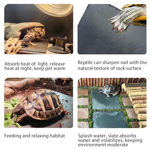 Reptile Basking Platform 6 × 6", Extra Large Reptile Slate, Basking Rock, Slate Tiles Rocks for Reptiles, Terrarium Bowls for Bearded Dragon Tortoise Turtle Ball Python Snake Lizard Gecko - size: 6 × 6 IN