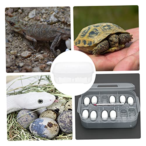 Sosoport Turtle Egg Incubator Reptile Incubation Box 12 Egg Slots Scientific Research and Curiosity Cultivation