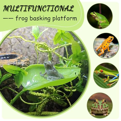 Tree Frog Terrarium Accessories, 3PCS Turtle Basking Platform | Aquarium decor with 3 suction cups, multifunctional reptile tank accessories for leopard gecko, snake, gecko, bearded dragon - color: Green