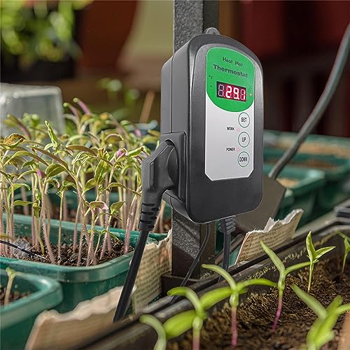 Digital Heat Mat Thermostat Temperature Controller (EMC Certified) for Seed Germination, Reptiles and Brewing Breeding Incubation Greenhouse, 42 °F to 108 °F/ 5 ℃ to 40 ℃, 1000W - size: Thermostat