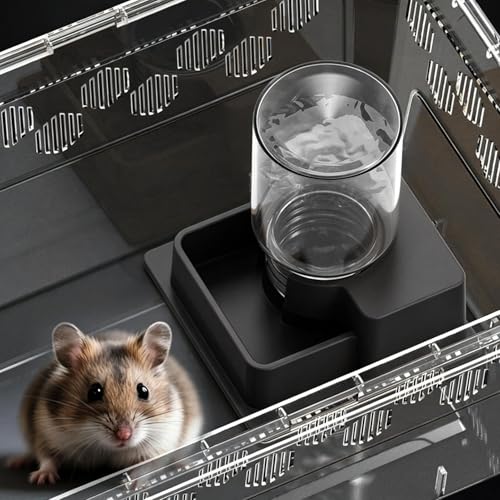 Reptile Water Feeder Wide-Mouth Reptile Feeding Tray | Lizard Water Feeding Bowl for Gecko Lizard Bearded Dragon Home Indoor Garden Yard Backyard Tank Aquarium - size: L1
