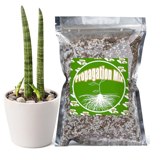 Doter Plant Propagation Potting Mix 2qt, Suitable for Rooting Plant Cuttings, Enhances Rooting by Providing Optimal Aeration and Drainage - size: 2qt