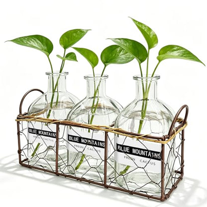 Plant Propagation Stations with Metal Stand, Willow-Woven Wire Mesh Retro Glass Planter for Hydroponic Propagating, Desktop Terrarium Flower Vase for Home Kitchen Office Decor Gifts, 3 Jars