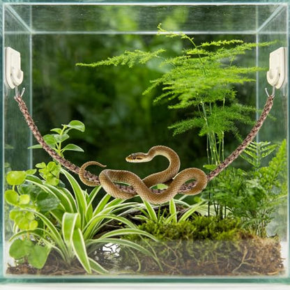 Snake Climbing Rope, 60cm/23.6in Reptile Enclosure Climbing Toy with Hooks & Suction Cups Cotton and Linen Enrichment Accessories for Ball Python Corn Snake Gecko Lizard Hermit Crab Cage Tanks Decor