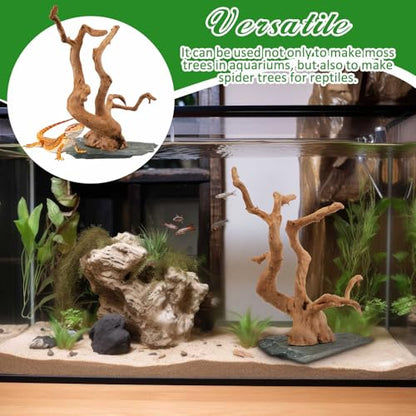 AceOrbit Large Driftwood for Aquarium, 8.5-11.5 Inch Spider Wood on Slate Stone, Natural Spiderwood Aquarium Driftwood Aquascaping Wood for Reptile Enclosure, Terrarium, Reptile Tank, Fish Tank Decor