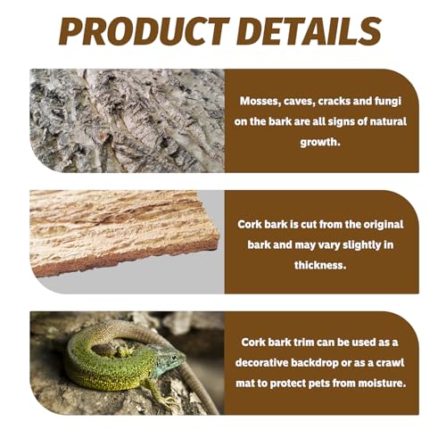 2PCS Cork Terrarium Background 9.84x11.8in Natural Cork Large Bark Backdrop Reptile Climbing Mat Habitat Decor for Spider Lizard Chamelon Turtle Beared Dragon