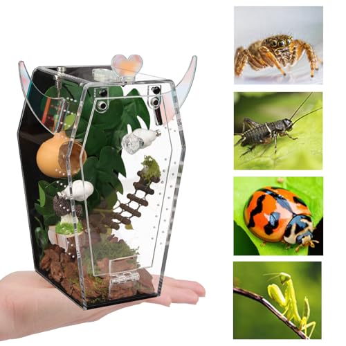 Acrylic Jumping Spider Enclosure，3mm Clear Coffin Terrarium with Magnetic Door & Feeding Hole, Secure Habitat for Jumping Spiders, Mantis, Small Tarantulas