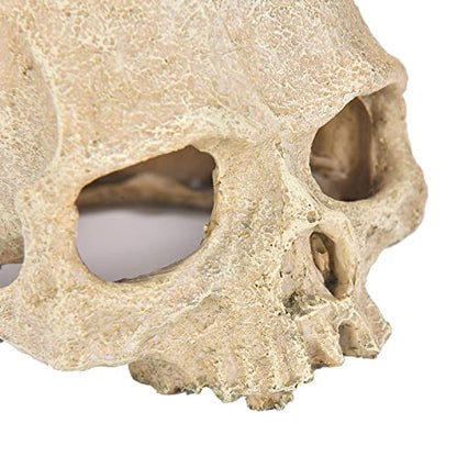 Skull Fish Shrimp Cichlid Hide Cave Reptiles Shelter Lizards Spider Aquarium Decoration Skull Rock Betta Fish Hideout Breeding Hatchery (Skull)